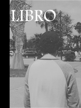 Movie poster for Book
