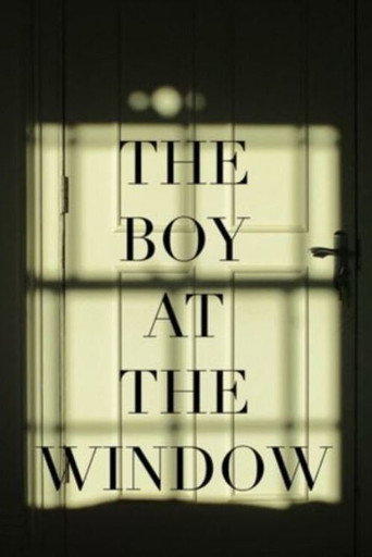 Movie poster for The Boy at the Window (2022)