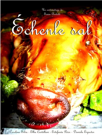 Movie poster for Échenle Sal (2009)