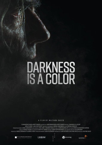 Movie poster for Darkness Is A Color (2019)