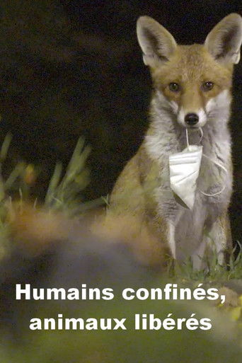 Menschen eingesperrt, Tiere befreit poster