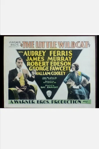Movie poster for The Little Wildcat (1928)