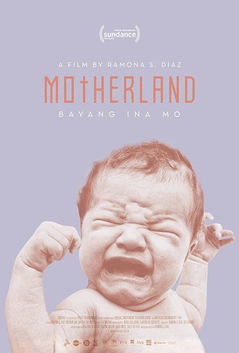 Movie poster for Motherland (2017)