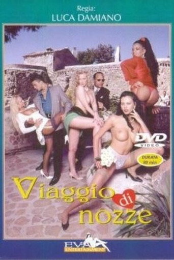 Movie poster for Viaggio Di Nozze (1996)