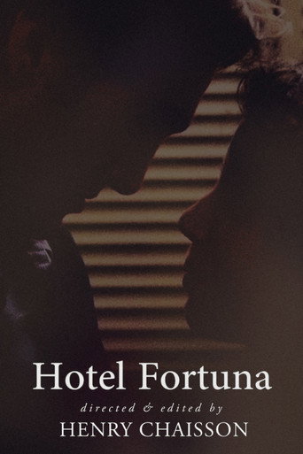 Movie poster for Hotel Fortuna (2013)