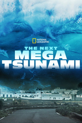 Movie poster for The Next Mega Tsunami (2014)