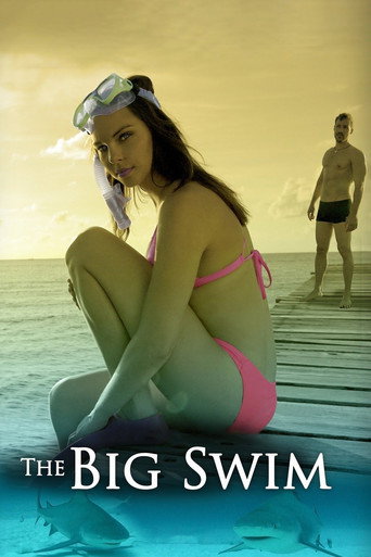 Movie poster for The Big Swim (2016)