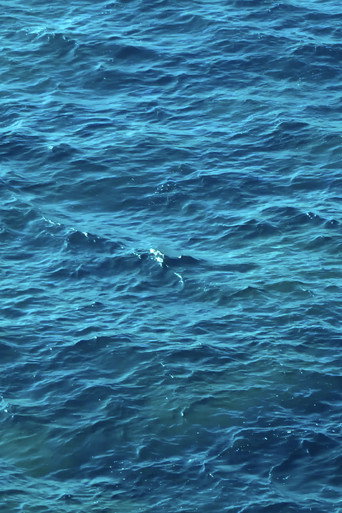 Movie poster for Desde la mar (2022)