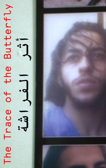 Movie poster for The Trace of the Butterfly (2014)