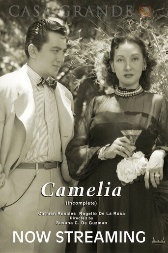 Movie poster for Camelia (1949)