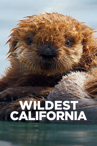 Movie poster for Wildest California (2021)