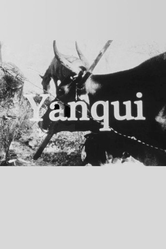 Movie poster for Yanqui WALKER and the OPTICAL REVOLUTION (2009)