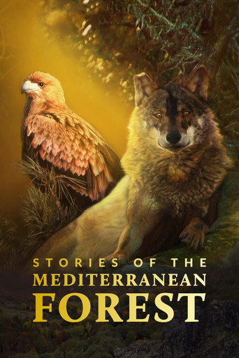 Series poster for Stories of the Mediterranean Forest (2018)