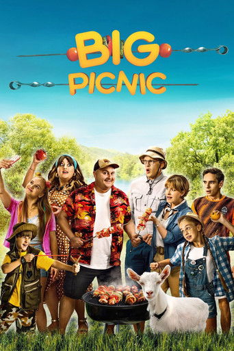 Big Picnic poster