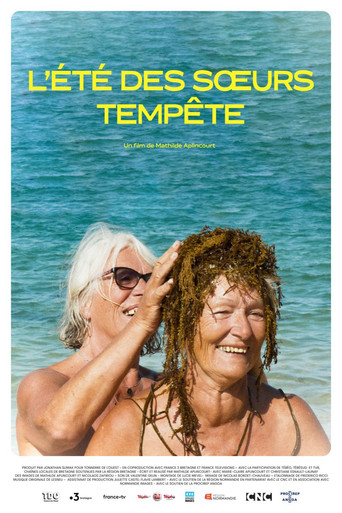 Movie poster for L'été des sœurs Tempête (2025)