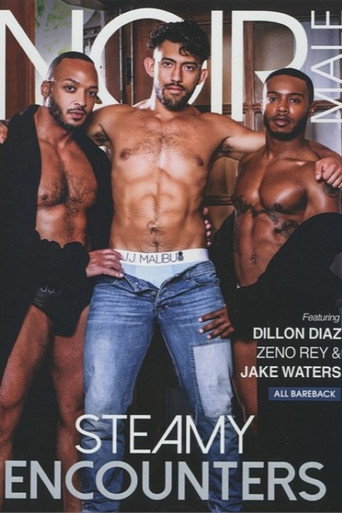 Movie poster for Steamy Encounters (2023)
