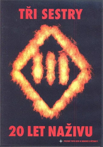 Movie poster for Tři sestry - 20 let naživu (2005)