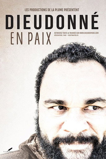 Movie poster for Dieudonné - En paix (2015)