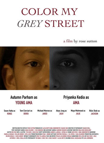 Movie poster for Color My Grey Street (2024)
