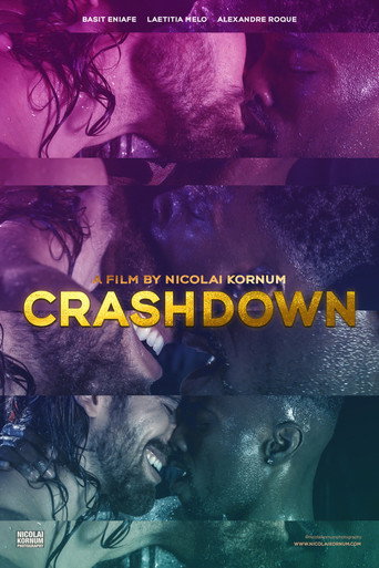 Movie poster for Crashdown (2021)