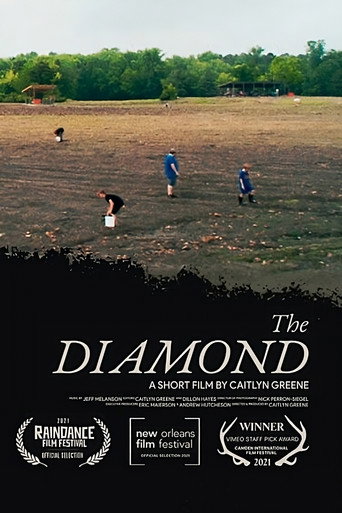 Movie poster for The Diamond (2021)