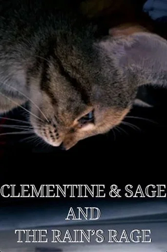 Movie poster for Clementine & Sage and The Rain's Rage (2024)