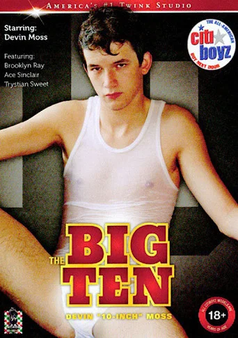 Movie poster for Citi Boyz 66: The Big Ten (2011)
