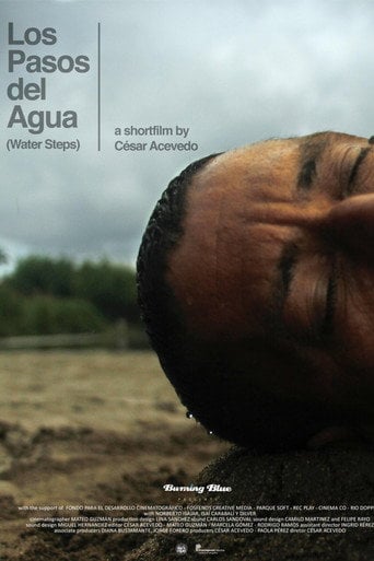 Movie poster for Water Steps (2016)
