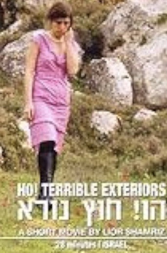 Movie poster for Ho! Terrible Exteriors (2006)