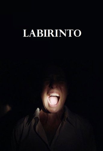 Movie poster for Labirinto (2021)