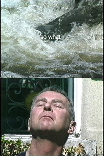 Movie poster for So What? (2004)