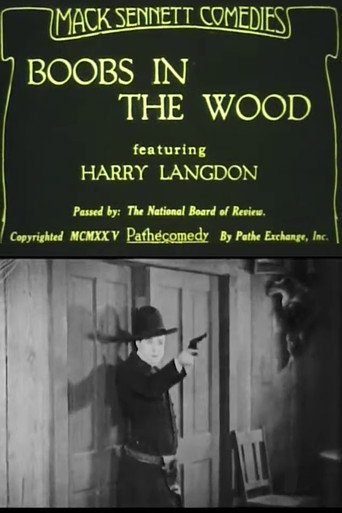 Movie poster for Boobs in the Wood (1925)