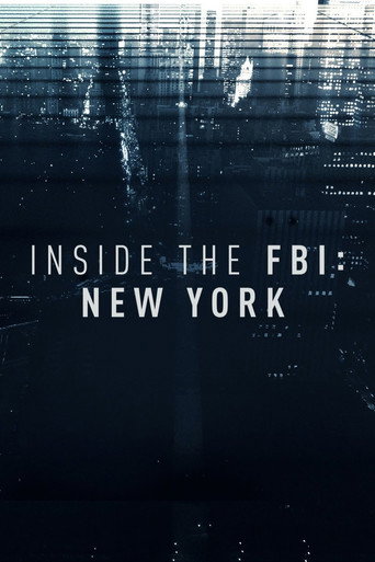 Series poster for Inside the FBI: New York (2017)