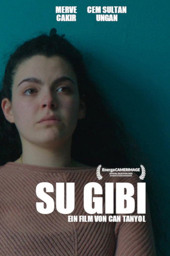 Movie poster for Su Gibi