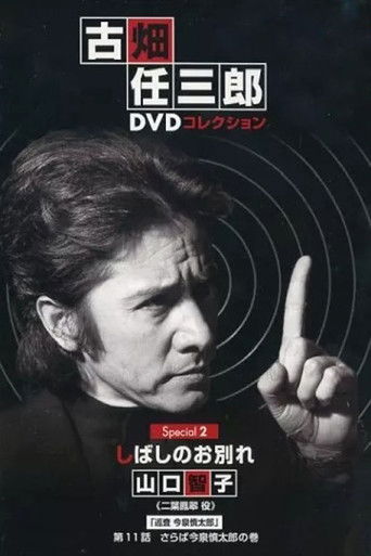 A Brief Parting poster