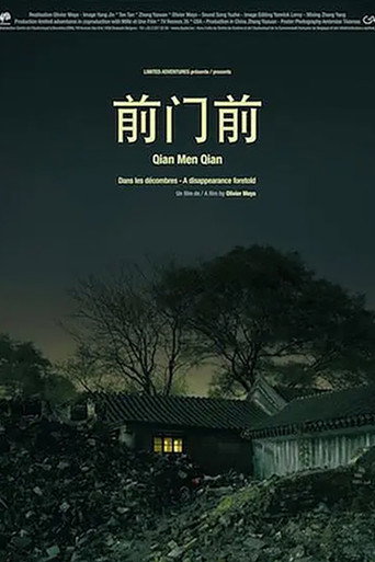 Movie poster for A Disappearance Foretold (2008)