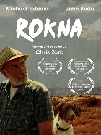 Movie poster for Rokna (2012)