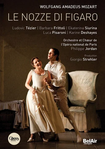 Movie poster for Le Nozze di Figaro (2010)
