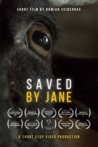 Movie poster for Saved By Jane (2022)
