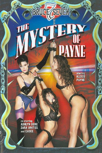 Movie poster for Mystery of Payne (1991)
