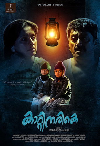 Kaatinarike poster