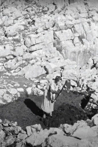 Movie poster for Prisoners of Stones (1959)