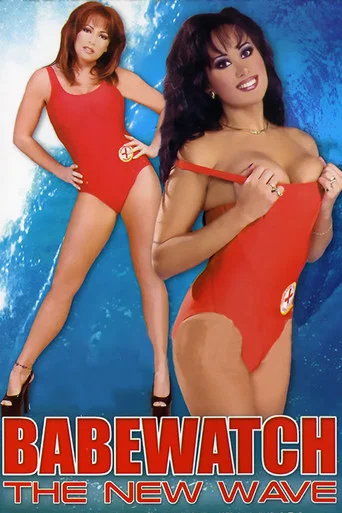 Movie poster for Babewatch 13 (2001)