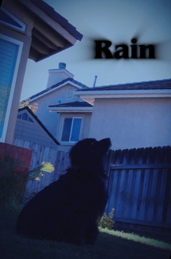 Movie poster for Rain (2023)