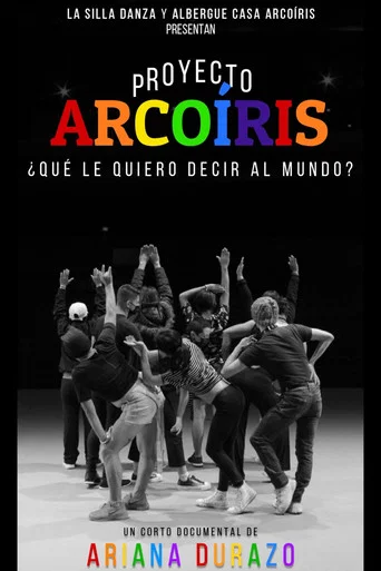 Movie poster for Proyecto Arcoíris: What Do I Want To Say to the World? (2021)