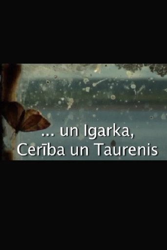 Movie poster for Igarka, Hope and Butterfly (2008)