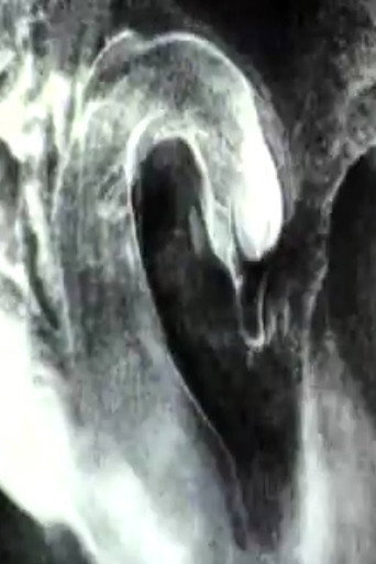 Movie poster for The Swan (1990)