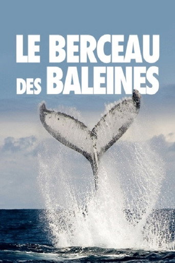 Movie poster for The Cradle of Whales (2015)
