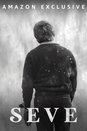 Movie poster for Seve (2021)