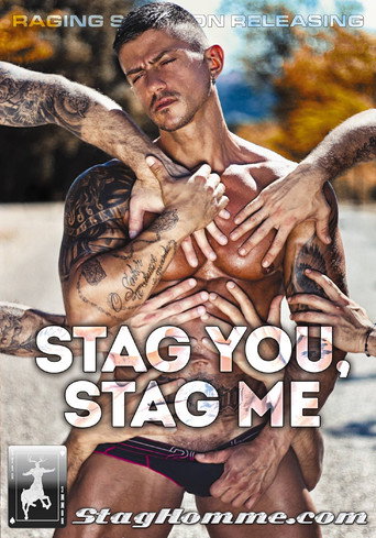 Movie poster for Stag You, Stag Me (2014)